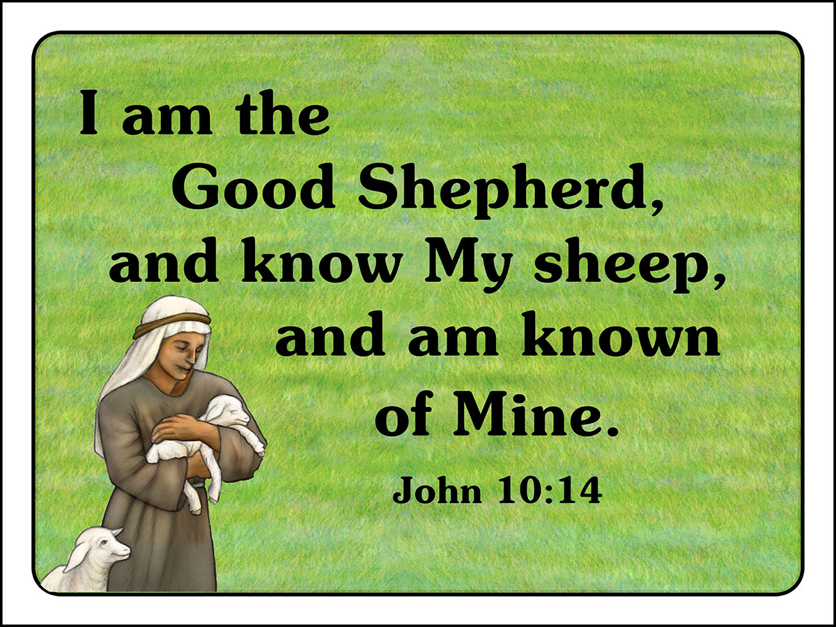 John 10:14 Memory Verse Download (Ready-to-Print PDF) - Bible Visuals  International