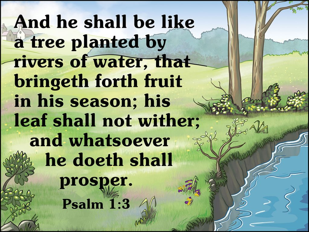 Psalms 1:3 Memory Verse Download (Ready-to-Print PDF) - Bible Visuals ...