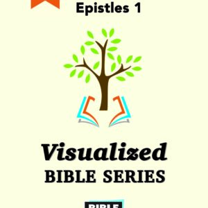 1211 Visualized Bible Series Set 11 | NT Volumes 24 - 28