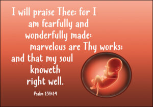 5710 MVPoster Psalm139