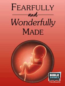 BVI Fearfully and Wonderfully Made Sanctity of Life Cover