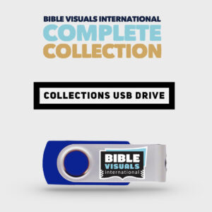 BVI Visualized Collection USB Flash Drive 9001