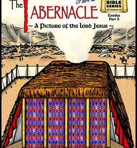 2010 Old Testament Volume 10 The Tabernacle Part 2